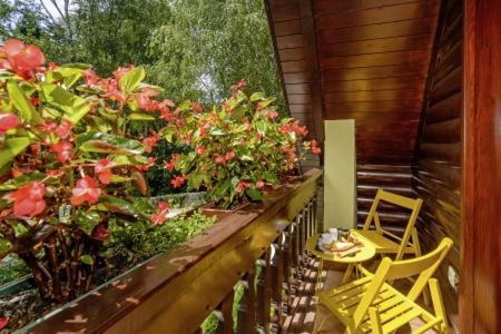 Chalets Bogo & Neno Ledenice 外观 照片